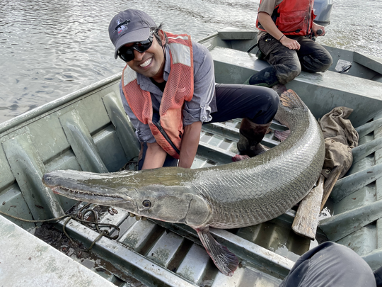 Scientists and state officials honor underappreciated fish with Gar Week